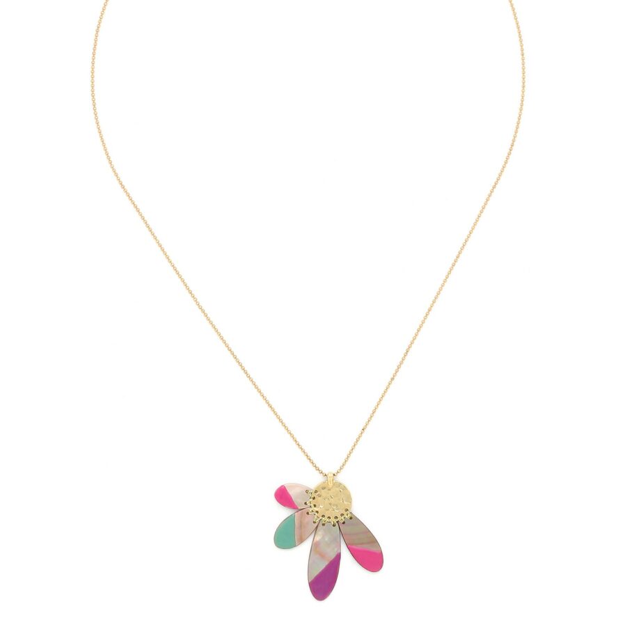 Slider page accueil - collier-lorette-frank-herval