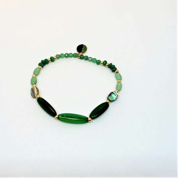 brac salonga 2