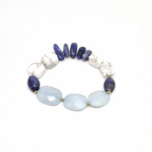 brac artic 1