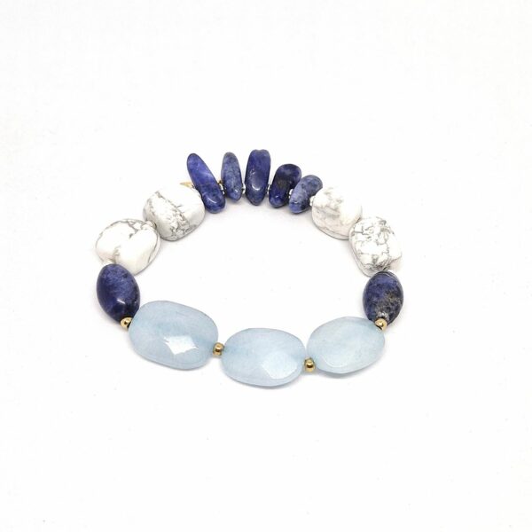 brac artic 1